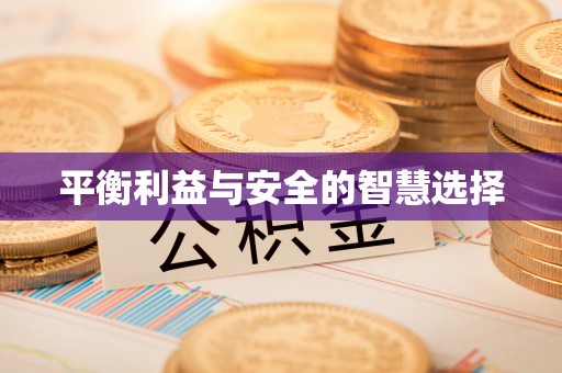 平舆平衡利益与安全的智慧选择