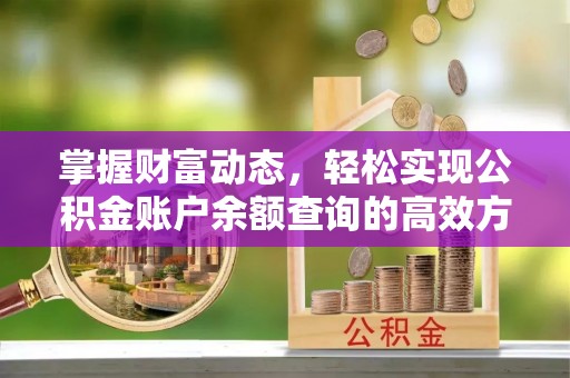 平舆掌握财富动态，轻松实现公积金账户余额查询的高效方法