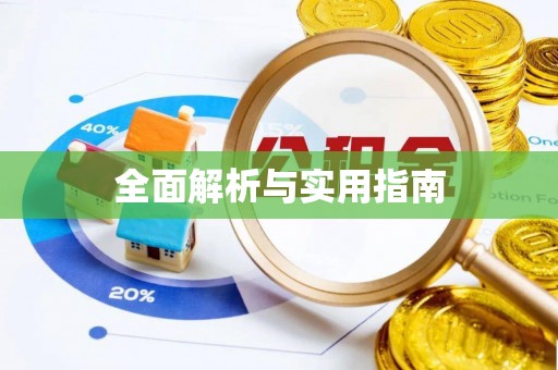 平舆全面解析与实用指南