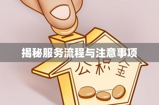 平舆揭秘服务流程与注意事项
