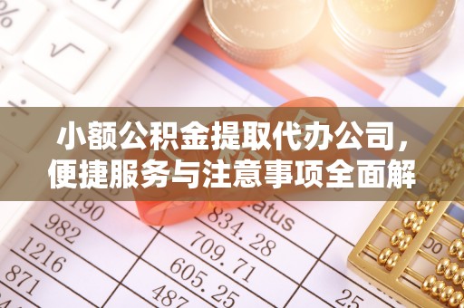 平舆小额公积金提取代办公司，便捷服务与注意事项全面解析