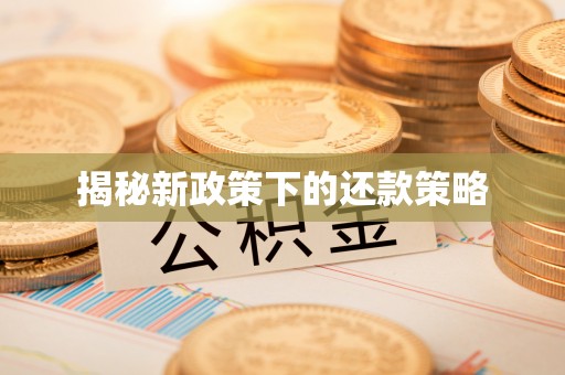 平舆揭秘新政策下的还款策略