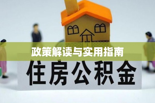 平舆政策解读与实用指南