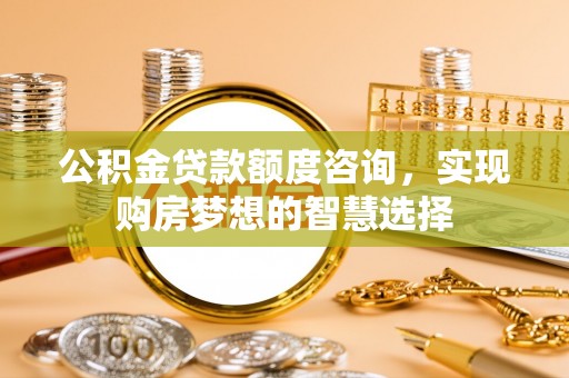 平舆公积金贷款额度咨询，实现购房梦想的智慧选择