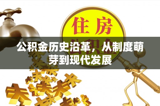 平舆公积金历史沿革，从制度萌芽到现代发展