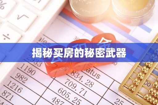 平舆揭秘买房的秘密武器