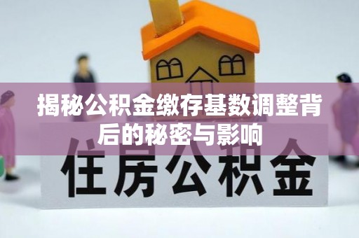 平舆揭秘公积金缴存基数调整背后的秘密与影响