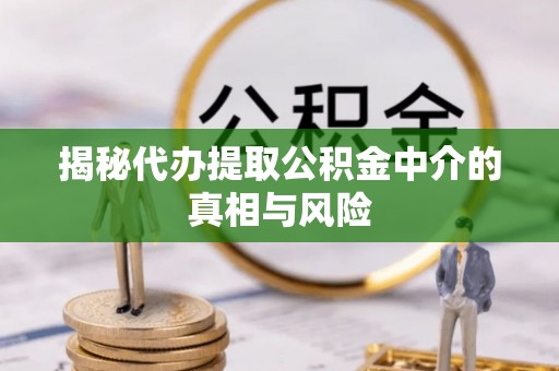 平舆揭秘代办提取公积金中介的真相与风险