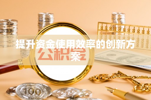 平舆提升资金使用效率的创新方案