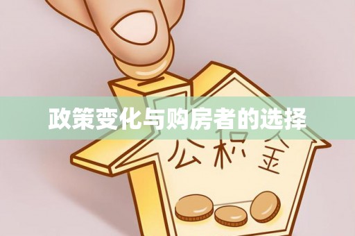 平舆政策变化与购房者的选择