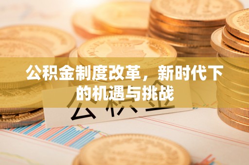平舆公积金制度改革，新时代下的机遇与挑战