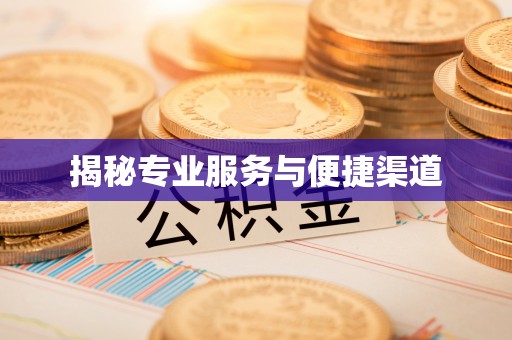平舆揭秘专业服务与便捷渠道