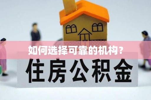 平舆如何选择可靠的机构？
