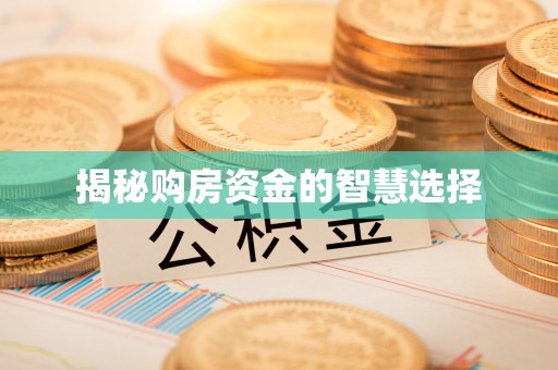 平舆揭秘购房资金的智慧选择