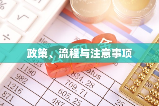 平舆政策、流程与注意事项