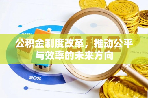 平舆公积金制度改革，推动公平与效率的未来方向