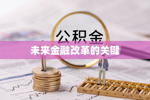 平舆未来金融改革的关键