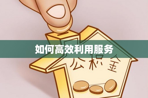 平舆如何高效利用服务