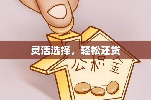 平舆灵活选择，轻松还贷