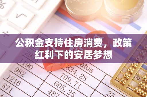 平舆公积金支持住房消费，政策红利下的安居梦想