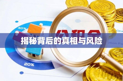 平舆揭秘背后的真相与风险