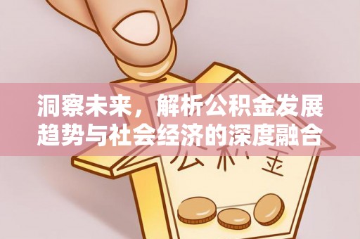 平舆洞察未来，解析公积金发展趋势与社会经济的深度融合