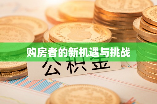 平舆购房者的新机遇与挑战