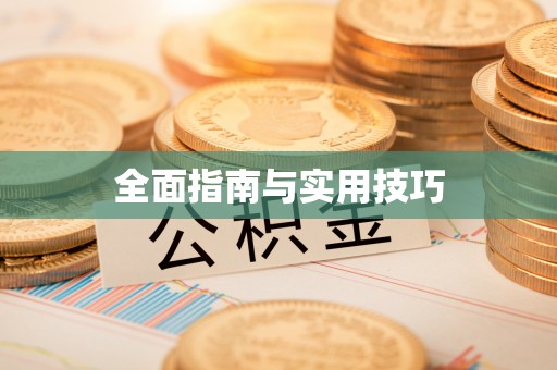 平舆全面指南与实用技巧