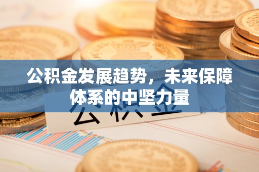 平舆公积金发展趋势，未来保障体系的中坚力量