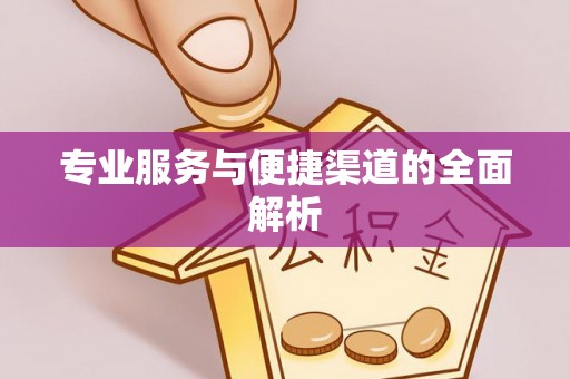 平舆专业服务与便捷渠道的全面解析