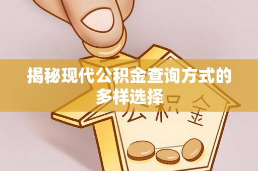 平舆揭秘现代公积金查询方式的多样选择