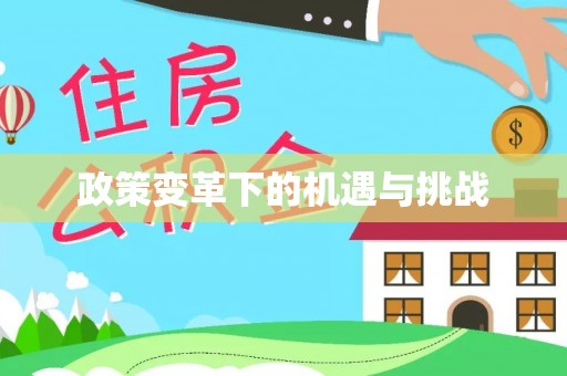 平舆政策变革下的机遇与挑战