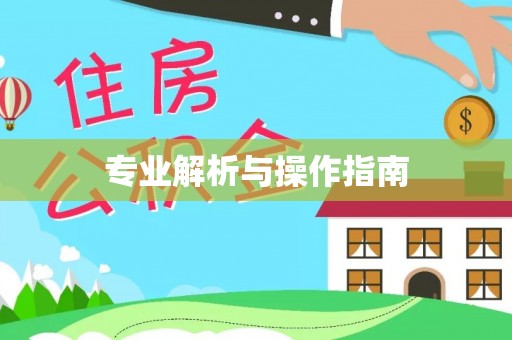 平舆专业解析与操作指南