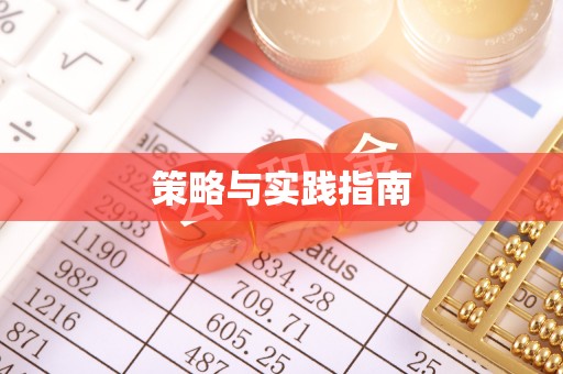 平舆策略与实践指南