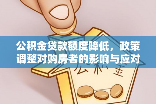 平舆公积金贷款额度降低，政策调整对购房者的影响与应对策略