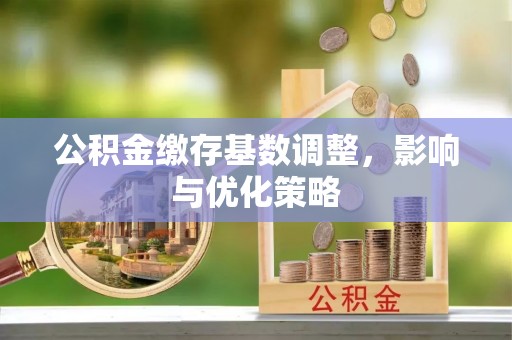 平舆公积金缴存基数调整，影响与优化策略