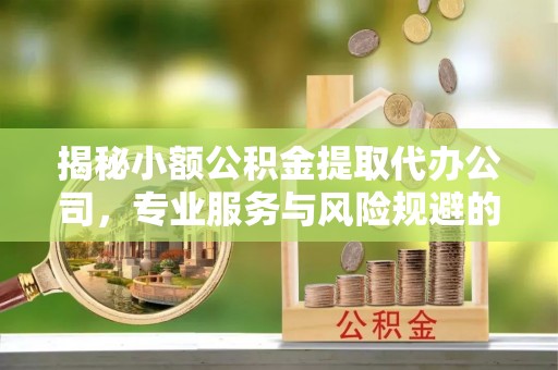 平舆揭秘小额公积金提取代办公司，专业服务与风险规避的平衡艺术