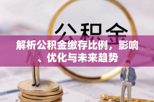 平舆解析公积金缴存比例，影响、优化与未来趋势