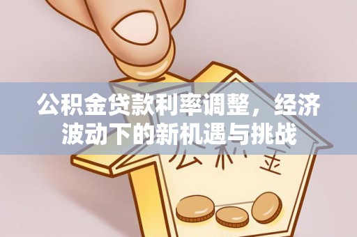 平舆公积金贷款利率调整，经济波动下的新机遇与挑战