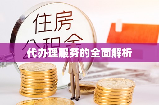 平舆代办理服务的全面解析