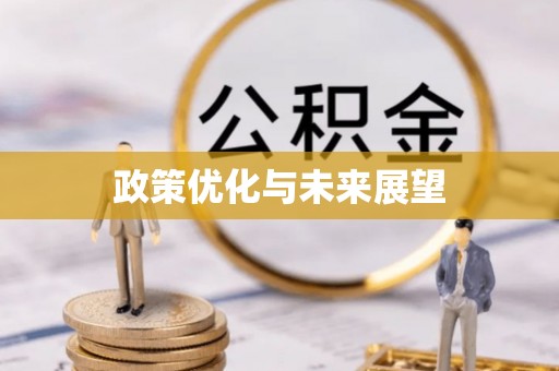 平舆政策优化与未来展望