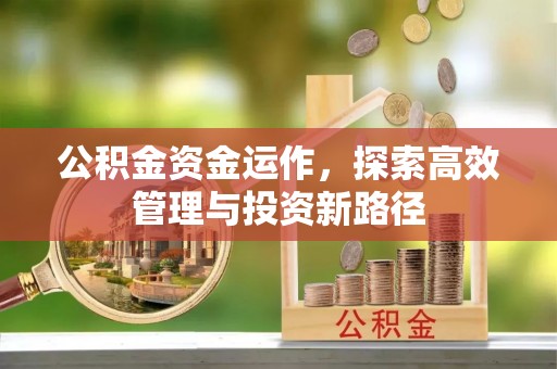 平舆公积金资金运作，探索高效管理与投资新路径