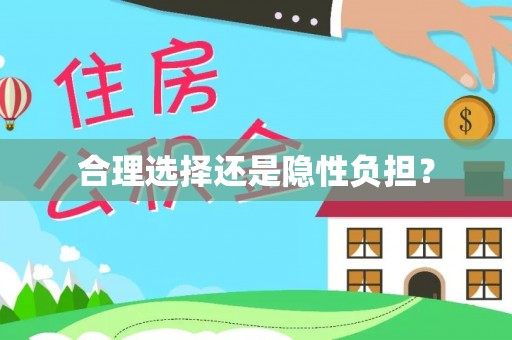 平舆合理选择还是隐性负担？
