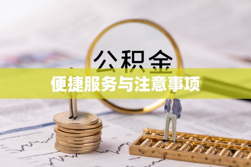 平舆便捷服务与注意事项