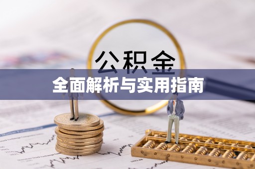 平舆全面解析与实用指南