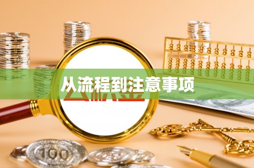 平舆从流程到注意事项
