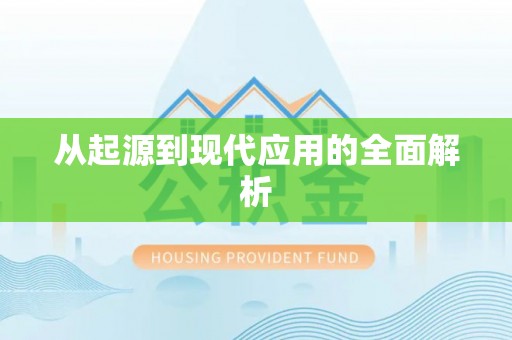 平舆从起源到现代应用的全面解析