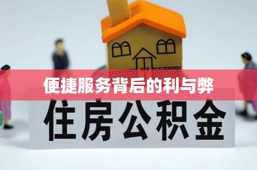 平舆便捷服务背后的利与弊