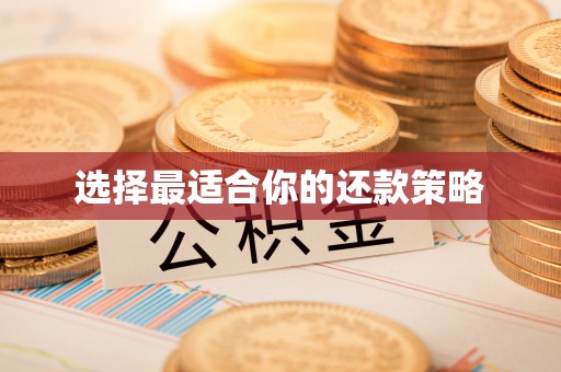 平舆选择最适合你的还款策略